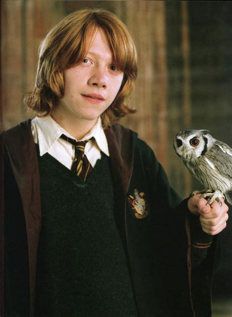 ron weasley owl grades.